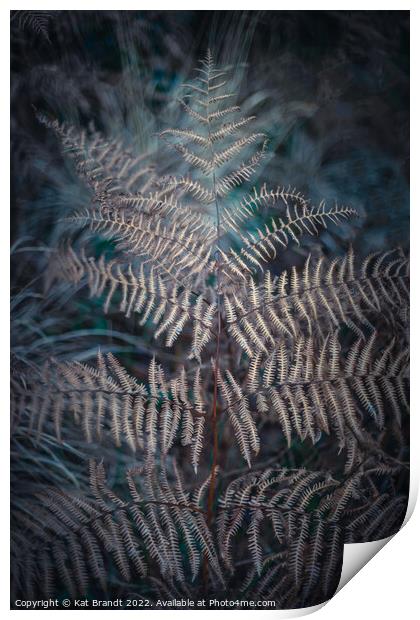 Winter Fern Print by KB Photo