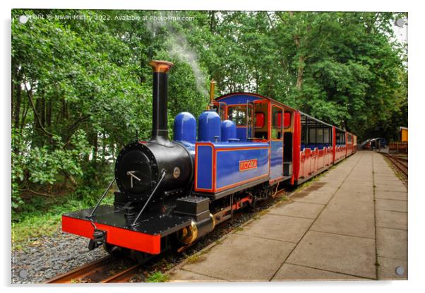 Isle of Mull Railway (Balmory Express)  Acrylic by Navin Mistry