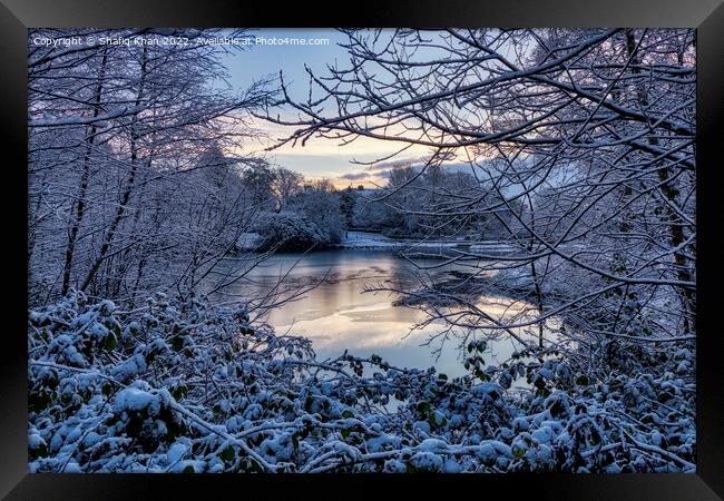 Frozen Lake at Corporation Park, Blackburn, Lancashire, UK Framed Print by Shafiq Khan