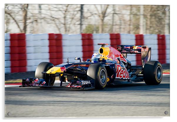 Sebastian Vettel - Redbull RB6 Spain 2011 Acrylic by SEAN RAMSELL