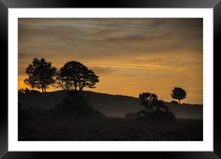 Before sunrise in forest... Framed Mounted Print by Elzbieta Sosnowski