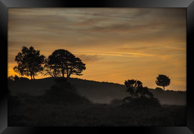 Before sunrise in forest... Framed Print by Elzbieta Sosnowski