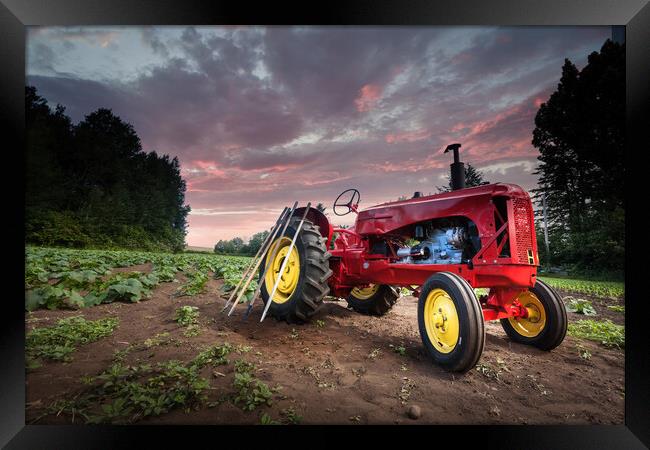 Red tractor in field Framed Print by Leighton Collins