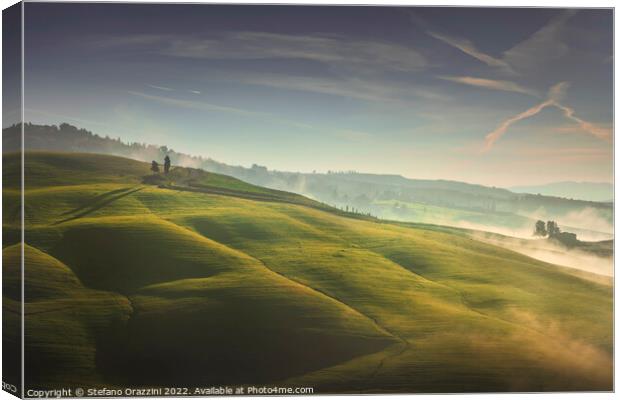 Volterra foggy landscape, trees, rolling hills and green fields  Canvas Print by Stefano Orazzini
