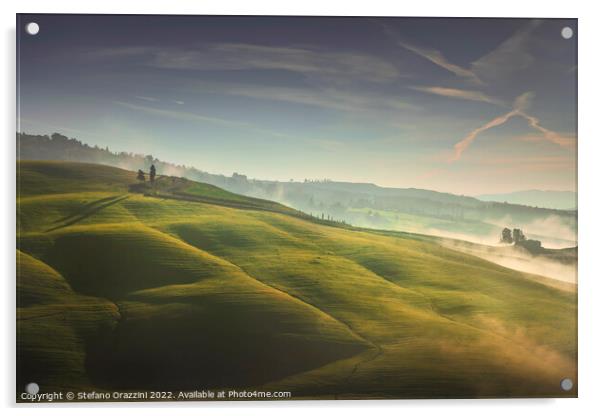 Volterra foggy landscape, trees, rolling hills and green fields  Acrylic by Stefano Orazzini
