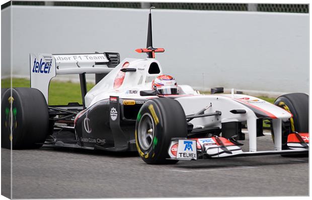 Kamui Kobayashi -Sauber F1 Team C30 Canvas Print by SEAN RAMSELL