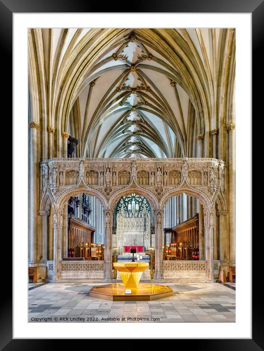 Bristol Cathedral Framed Mounted Print by Rick Lindley