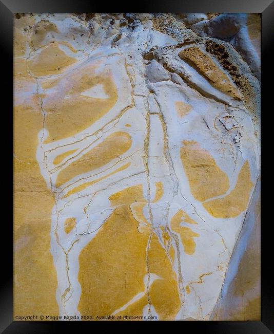 Nature Art of a Skeleton on a limestone rock Framed Print by Maggie Bajada