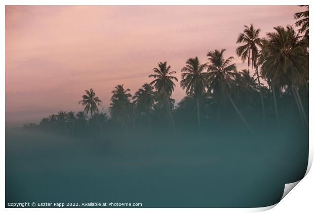 Tropical sunset  Print by Eszter Papp