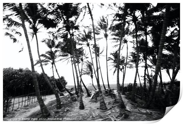 Palm trees in wind Print by Eszter Papp