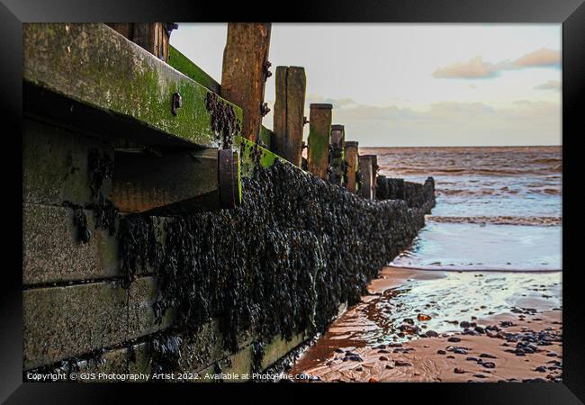 The Texture of Wood and Seaweed Framed Print by GJS Photography Artist