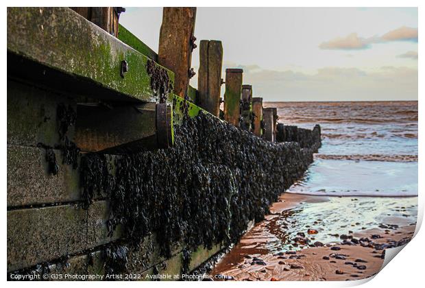 The Texture of Wood and Seaweed Print by GJS Photography Artist