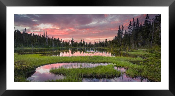 Strathcona park Framed Mounted Print by Leighton Collins