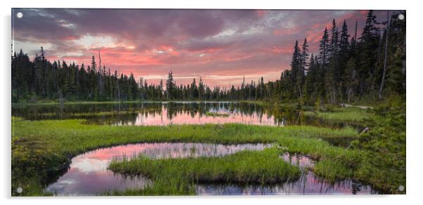 Strathcona park Acrylic by Leighton Collins