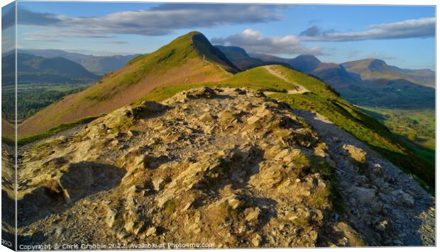 Catbells from Skelgill Bank at sunrise Canvas Print by Chris Drabble