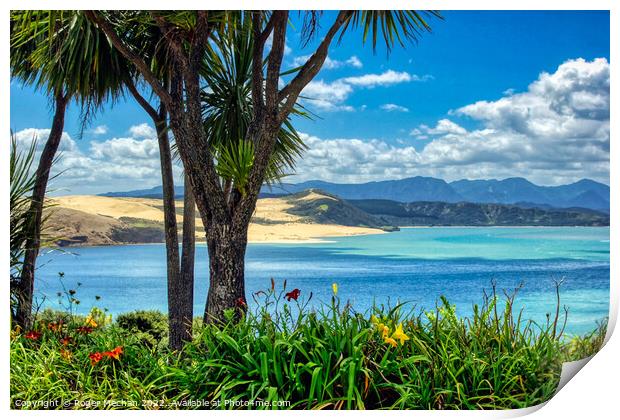 Serene View of Doubtless Bay Print by Roger Mechan