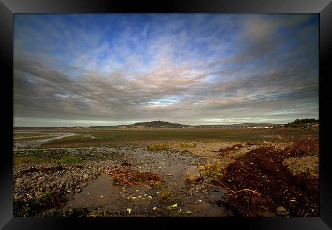 A view of Scrabo Tower from Ards Peninsula Framed Print by pauline morris