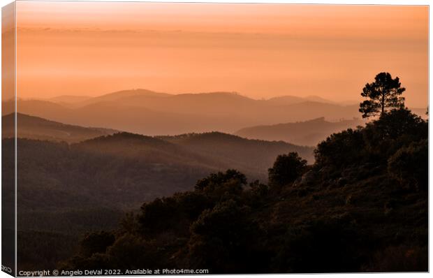 Coral Sunset in Monchique Mountains Canvas Print by Angelo DeVal