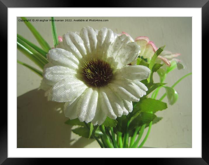 Plant flower Framed Mounted Print by Ali asghar Mazinanian