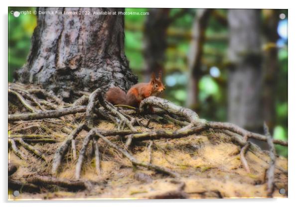 Red Squirrel Acrylic by Derrick Fox Lomax