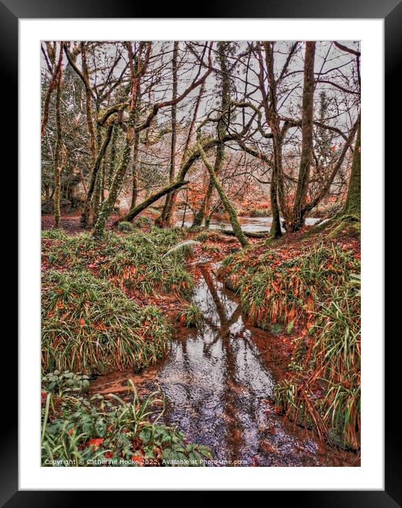 Into the woods Framed Mounted Print by Catherine Hooke