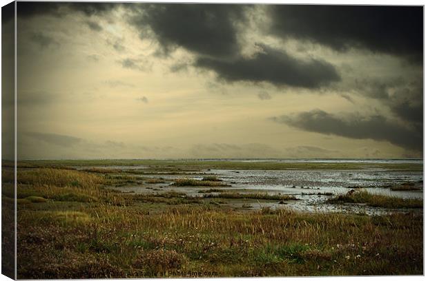 Holy Island, Lindisfarne Northumberland Canvas Print by Jacqui Farrell