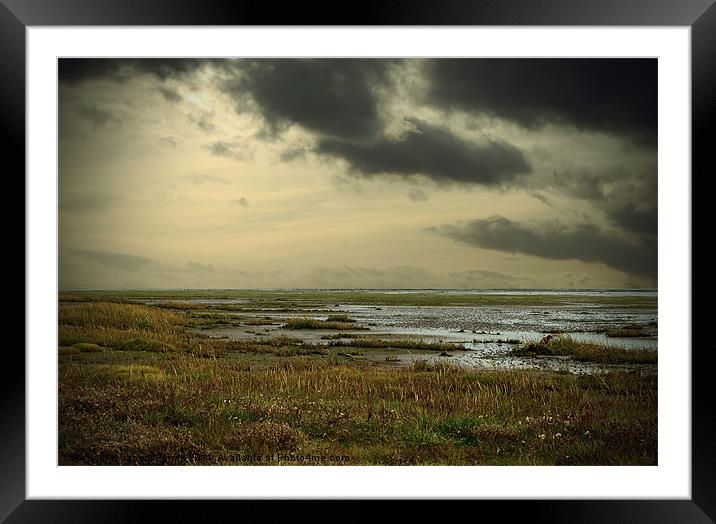 Holy Island, Lindisfarne Northumberland Framed Mounted Print by Jacqui Farrell