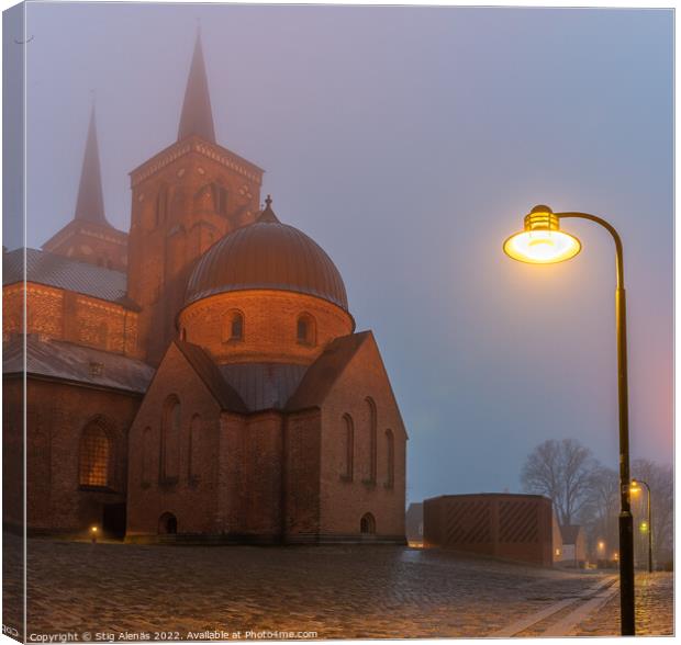 Roskilde cathedral and a streetlight in a misty winter night  Canvas Print by Stig Alenäs