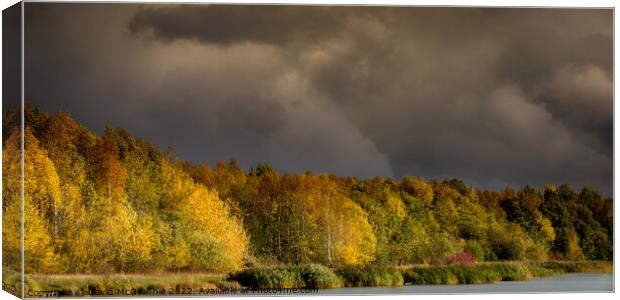 Stormy colours, Cotgrave country park Canvas Print by David McGeachie