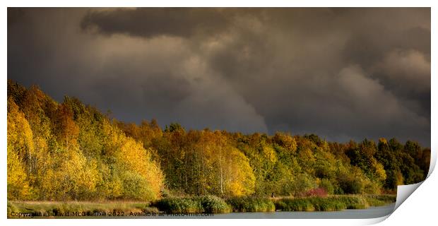 Stormy colours, Cotgrave country park Print by David McGeachie