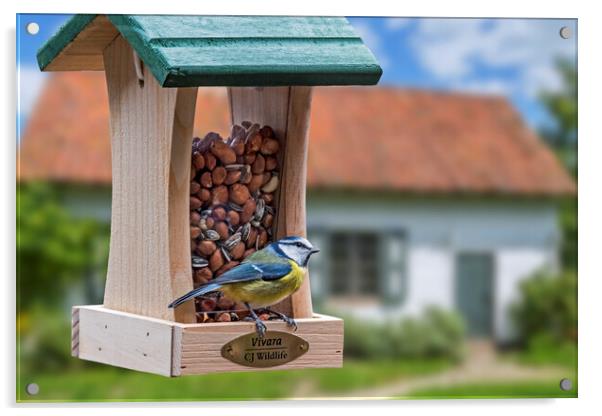 Blue Tit on Garden Bird Feeder Acrylic by Arterra 