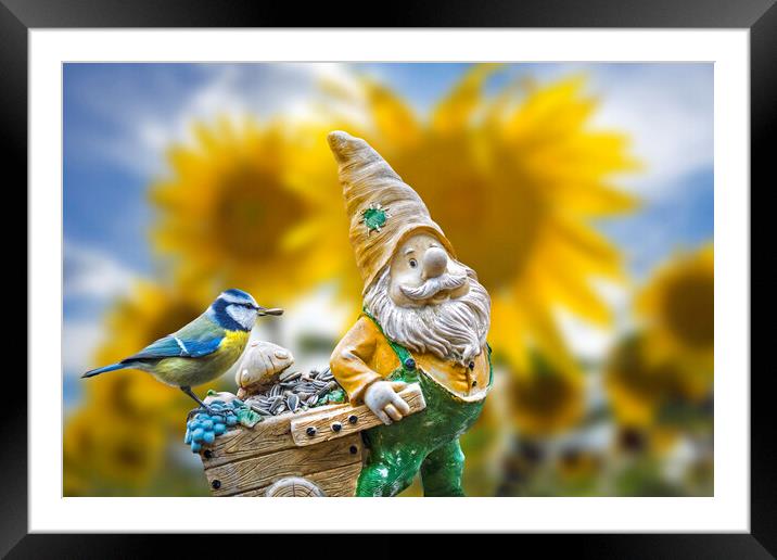 Bird and Garden Gnome Framed Mounted Print by Arterra 