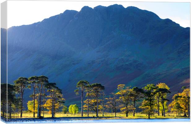 Early morning light at Buttermere in autumn Canvas Print by Chris Warren