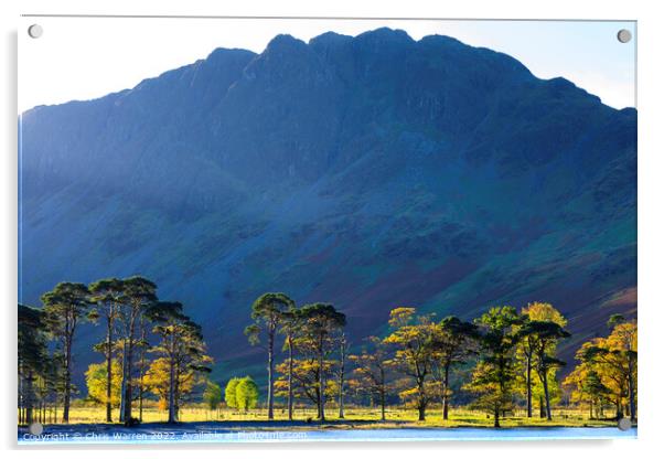 Early morning light at Buttermere in autumn Acrylic by Chris Warren