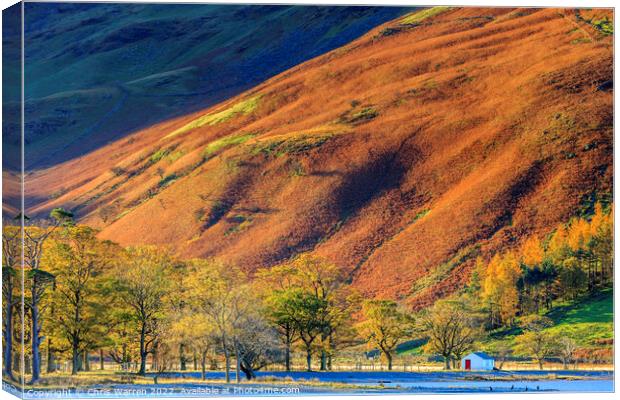 Early morning light at Buttermere in autumn  Canvas Print by Chris Warren