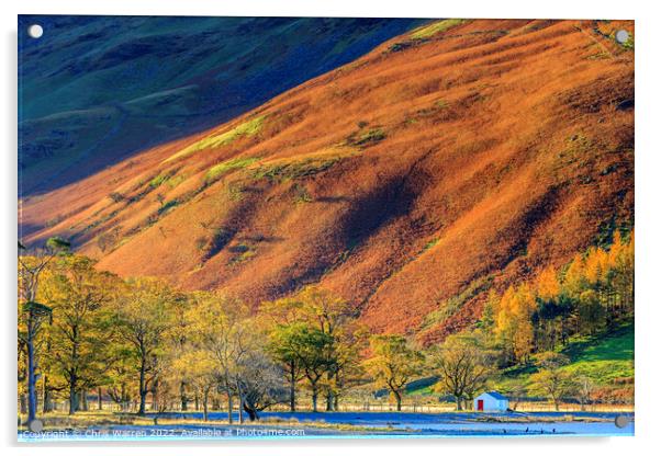 Early morning light at Buttermere in autumn  Acrylic by Chris Warren