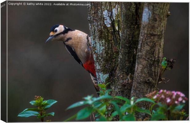 Great spotted woodpecker  Canvas Print by kathy white