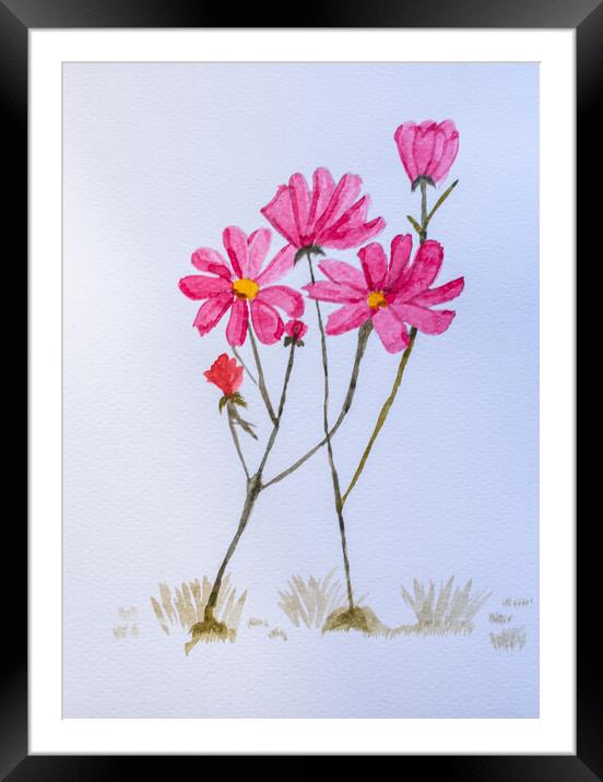 Artwork. Watercolor of pink flowers Framed Mounted Print by David Galindo