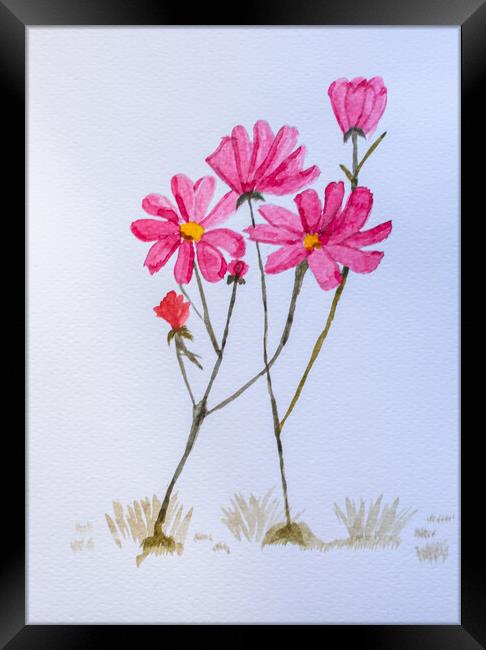 Artwork. Watercolor of pink flowers Framed Print by David Galindo