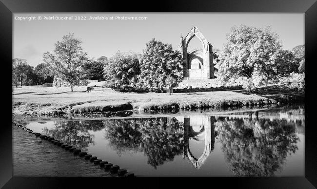 Bolton Abbey Yorkshire Dales Black and White Framed Print by Pearl Bucknall