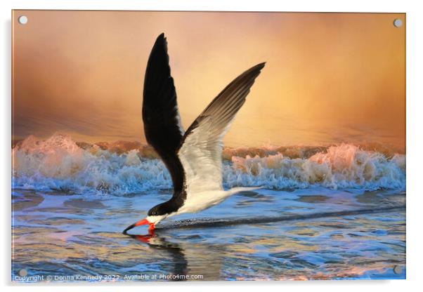 Sunset Skimming Acrylic by Donna Kennedy