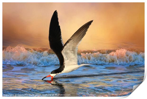 Sunset Skimming Print by Donna Kennedy