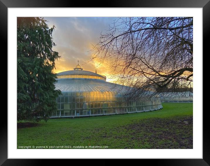 Late winter sun on the Kibble Palace, Glasgow Botanic Gardens Framed Mounted Print by yvonne & paul carroll