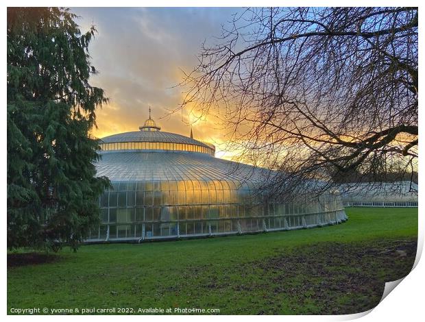 Late winter sun on the Kibble Palace, Glasgow Botanic Gardens Print by yvonne & paul carroll