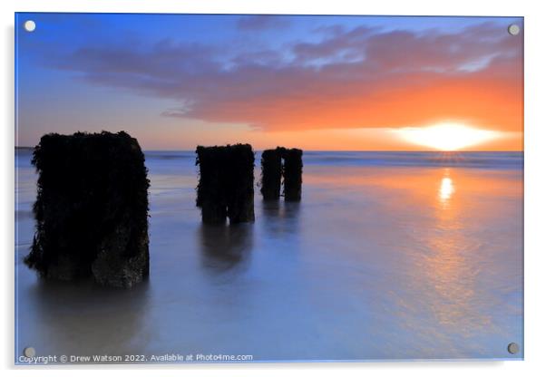 Groynes on the beach at sunrise Acrylic by Drew Watson