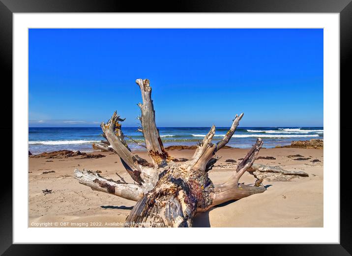 Lossiemouth Beach Morayshire Scotland Delivered By The Storm Framed Mounted Print by OBT imaging