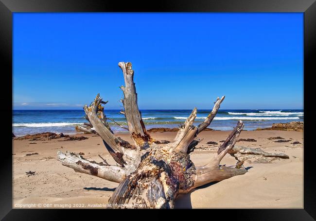 Lossiemouth Beach Morayshire Scotland Delivered By The Storm Framed Print by OBT imaging