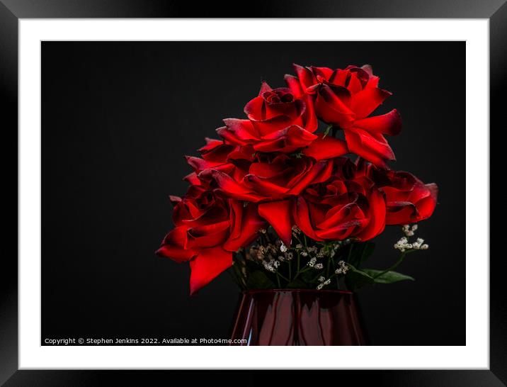 Red Roses Framed Mounted Print by Stephen Jenkins