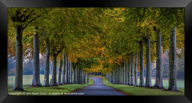 Beech Avenue - Moor Crichel Framed Print by Jim Monk