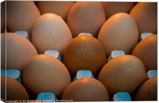 A clutch of eggs Canvas Print by Jim Butler